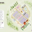 카페라벤더숲