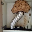 내 집의 분경 이미지