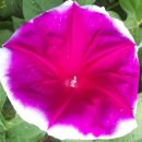 신의실천 이미지