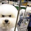 신촌뮤직 이미지