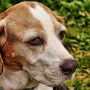 T.O.P 복싱짐 이미지