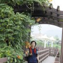 느린꼬부랑길 이미지