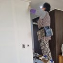 여천도배장판