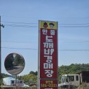 함안-3 | 함안 만물도깨비 경매장 후기｜1시간만 보려다 3시간 보고 8만원 득템!!