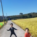 효준농장 이미지