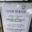 기지개 | 남양주애견카페/남양주애견운동장 기지개 재방문 후기