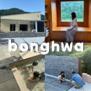 여름 | 봉화 펜션 강안채 세번째 방문 가족펜션 내돈내산 여름 후기