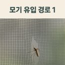 닥터스미스(Dr. Smith) 이미지