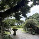 벙커호텔앤리조트 | 제주중문호텔 씨에스호텔앤 리조트 내돈내산 후기 디럭스룸, 씨에스호텔 조식