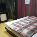 모텔더숲 이미지