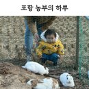 신광농장 | 포항 아기와 가볼 만한 곳 :: 농부의 하루 (동물 먹이주기, 모래놀이 카페)