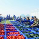 통일농장 이미지