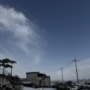 삼촌 스테이 이미지