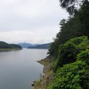 충주호 종댕이 이미지