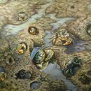 한려대학교 이미지