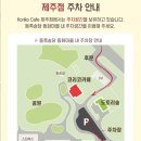 cafe(카페)도토리