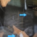 남산세차장 이미지