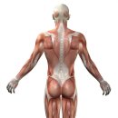 퍼스트 피지오 짐 이미지