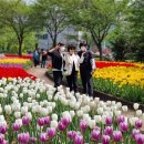 의정부컬링경기장 이미지