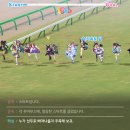 진짜 쎄다 아몬드 아이 이미지