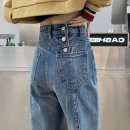 다파라 이미지