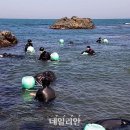 수산어촌체험휴양마을 이미지