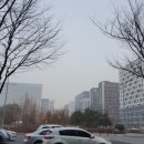 탑부동산공인중개사사무소 이미지