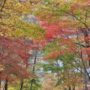 서천숙소 국립 희리산해송자연휴양림 연립동 파랑새