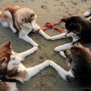 유진상사 이미지