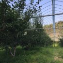 청구농장 이미지