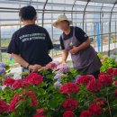 이명환농장 이미지