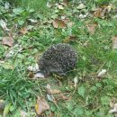 하늘내린강산 이미지