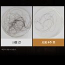 주식회사 신데렐라아미솔루션 | 풍성한 머릿결의 비결, 맥주효모 탈모샴푸