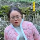 우짜꼬