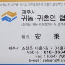 안선생민박 이미지