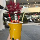 대왕판교로645번길 | [2025.11] 이사 준비·이사 후기｜단양 여행·여의도 한강·구디 맛집까지 11월 일상