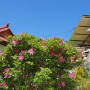 해당화경로당 이미지