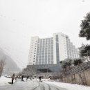정선 파크로쉬 리조트앤웰니스 트윈(오대천뷰), 설산과 호캉스