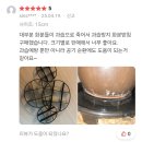 Point - 원형 | 과습방지받침 10+1 세트 화분받침 원형 화분물받침 물받이