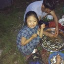 쌍둥이민물매운탕 이미지