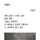 오늘의 시 : 겨울비 이미지