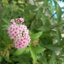 진맥잘보는한의원 이미지