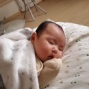지유네 Daum카페