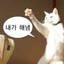 사랑나무한의원 | 스빵일상-고성 카페 아야트커피, 혼자만의 퇴사파티