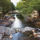 진안슈퍼 이미지