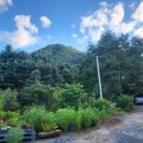 다은이네 민박 이미지