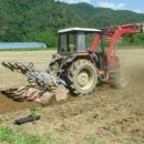 양구목장 이미지