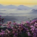 국사봉 시대일보