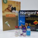 바로동물약국 이미지