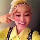 살찐 고양이 카카오 검색결과